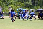 IMG_0084 (cam 0)