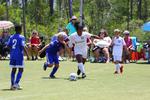 IMG_0101 (cam 0)