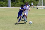 IMG_0122 (cam 0)