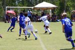 IMG_0139 (cam 0)