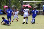 IMG_0141 (cam 0)