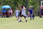 IMG_0150 (cam 0)