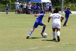 IMG_0167 (cam 0)