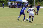 IMG_0168 (cam 0)