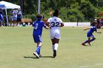 IMG_0170 (cam 0)