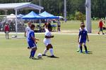 IMG_0190 (cam 0)