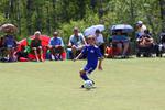 IMG_0195 (cam 0)
