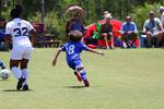 IMG_0202 (cam 0)