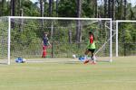 IMG_0028 (cam 0)