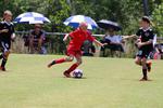 IMG_0050 (cam 0)