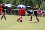 IMG_0051 (cam 0)