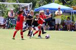 IMG_0081 (cam 0)