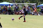 IMG_0113 (cam 0)