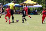 IMG_0140 (cam 0)