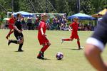 IMG_0234 (cam 0)