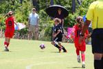 IMG_0242 (cam 0)