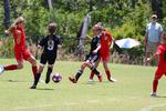IMG_0244 (cam 0)
