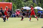 IMG_0249 (cam 0)