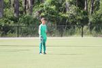 IMG_0001 (cam 0)