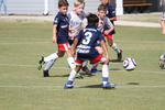 IMG_0021 (cam 0)
