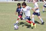 IMG_0029 (cam 0)
