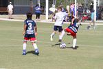 IMG_0039 (cam 0)