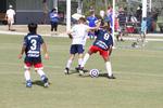 IMG_0040 (cam 0)
