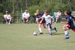 IMG_0044 (cam 0)