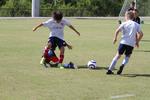 IMG_0061 (cam 0)