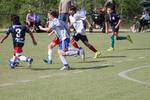 IMG_0082 (cam 0)