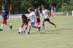 IMG_0083 (cam 0)