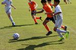 IMG_0008 (cam 0)