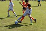 IMG_0009 (cam 0)