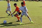 IMG_0011 (cam 0)