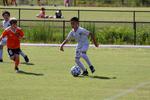 IMG_0017 (cam 0)