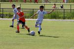 IMG_0019 (cam 0)
