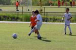 IMG_0024 (cam 0)