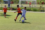 IMG_0032 (cam 0)