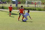 IMG_0034 (cam 0)