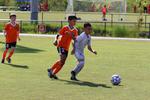 IMG_0036 (cam 0)