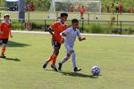 IMG_0037 (cam 0)