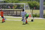 IMG_0066 (cam 0)