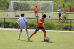 IMG_0072 (cam 0)