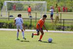IMG_0073 (cam 0)