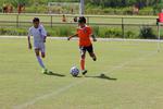 IMG_0078 (cam 0)