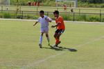 IMG_0080 (cam 0)