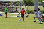 IMG_0082 (cam 0)