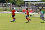 IMG_0085 (cam 0)