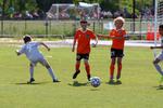 IMG_0087 (cam 0)