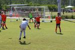 IMG_0092 (cam 0)